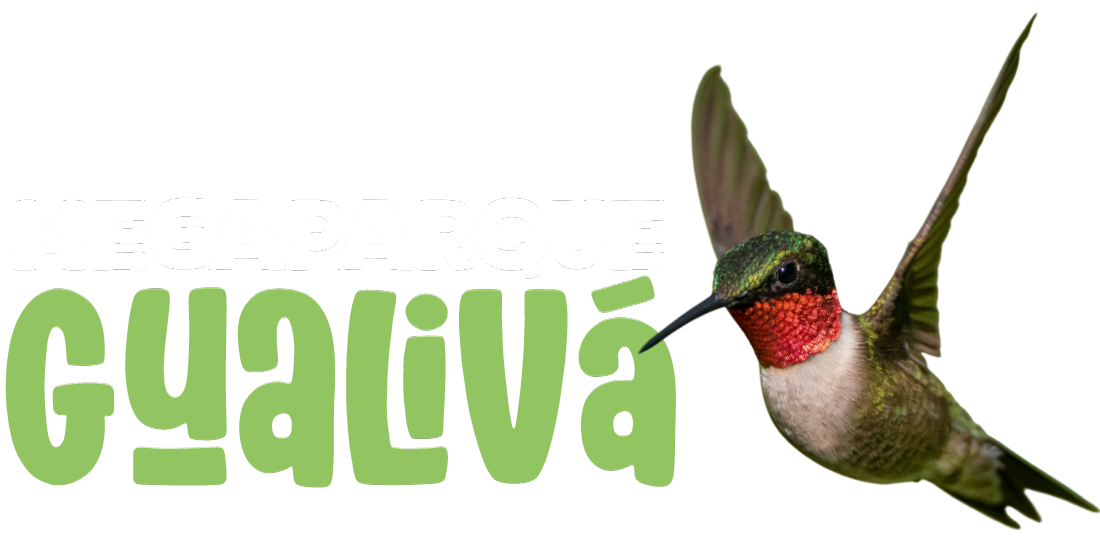 Gualiva